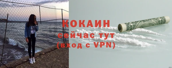 меф Снежинск